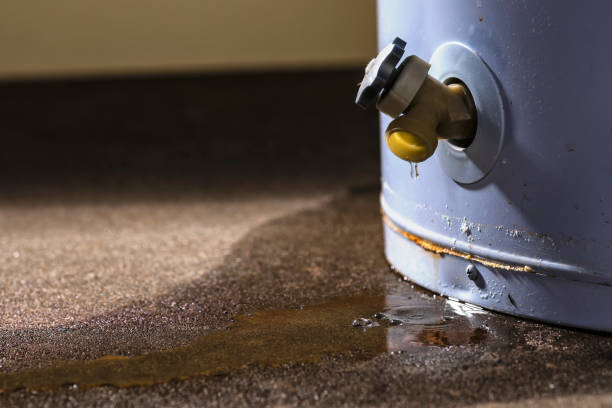 Best Water damage restoration near me  in North Chicago, IL