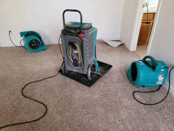 Best Emergency water damage restoration  in North Chicago, IL