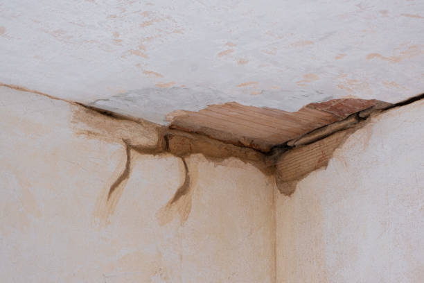 Best Water damage contractors near me  in North Chicago, IL