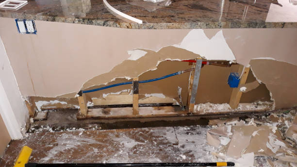 Best Basement water damage restoration  in North Chicago, IL