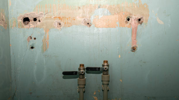 Best Flooded house restoration  in North Chicago, IL