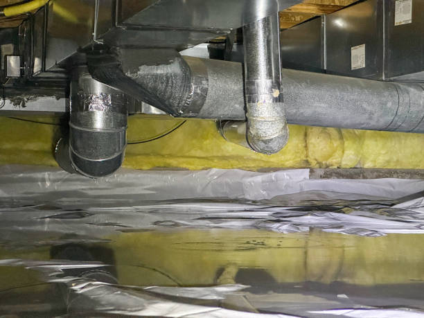 Best Mold removal after water damage  in North Chicago, IL