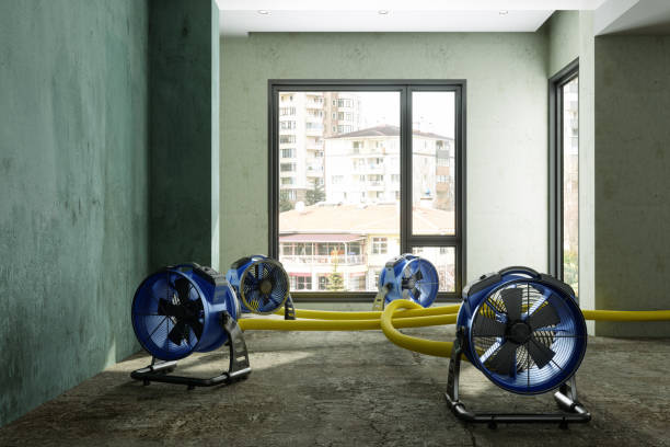 Best Water damage repair service  in North Chicago, IL