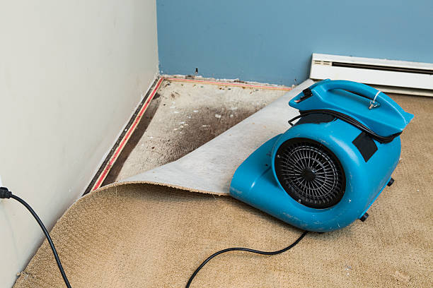 Best Water damage restoration near me  in North Chicago, IL